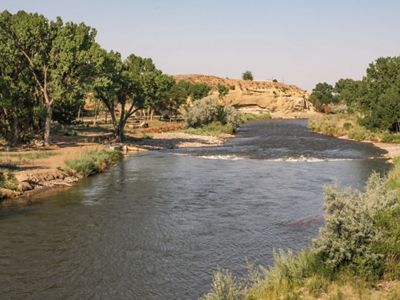 A wide river flows between grass and trees.