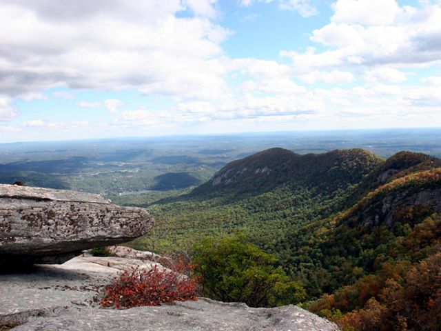 TNC NC has an office in Asheville to be more efficient in our conservation work and land protection in this biodiverse region.