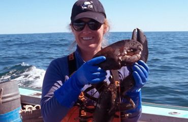Dr. Jocelyn Runnebaum wears blue rubber gloves and holds up a large lobster while standing on a boat in the ocean.