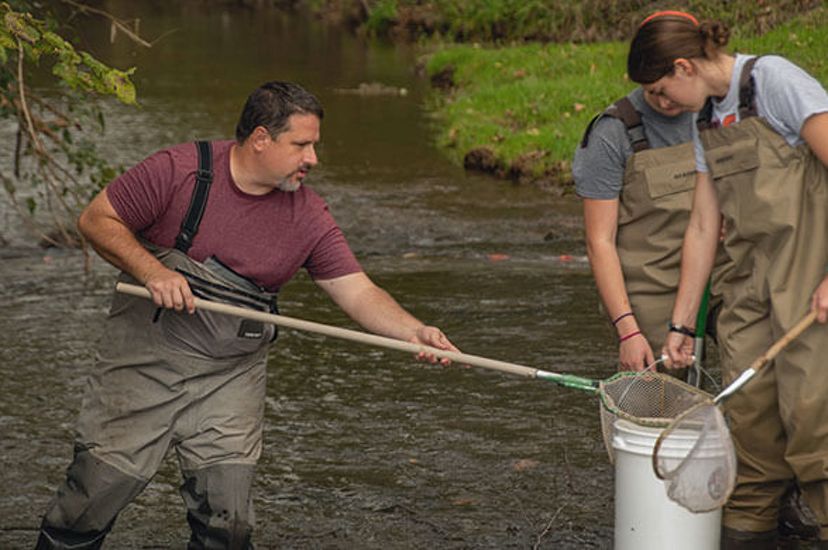Stream and Wetland Restoration Specialist Jon Niles. He is standing in a shallow stream using a dip net to transfer marine specimens from the water into a bucket.