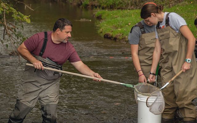 Stream and Wetland Restoration Specialist Jon Niles. He is standing in a shallow stream using a dip net to transfer marine specimens from the water into a bucket.