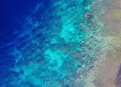 Aerial view of a coastline.