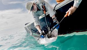 A gray-haired man wearing a broad-brimmed hat and sunglasses leans over the side of a boat at sea, holding the snout of a shark while a second person reaches down to cut the hook with boltcutters.