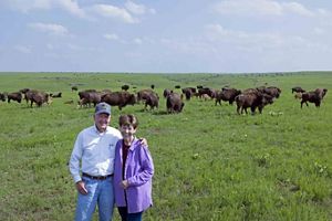 A couple smiles in front of a prairie landscape with bison roaming.