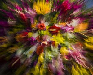 Captura difusa de flores coloridas.