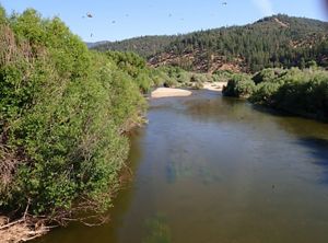 Flowing water in the Scott River in June 2025.
