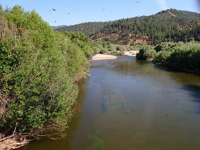 Flowing water in the Scott River in June 2025.