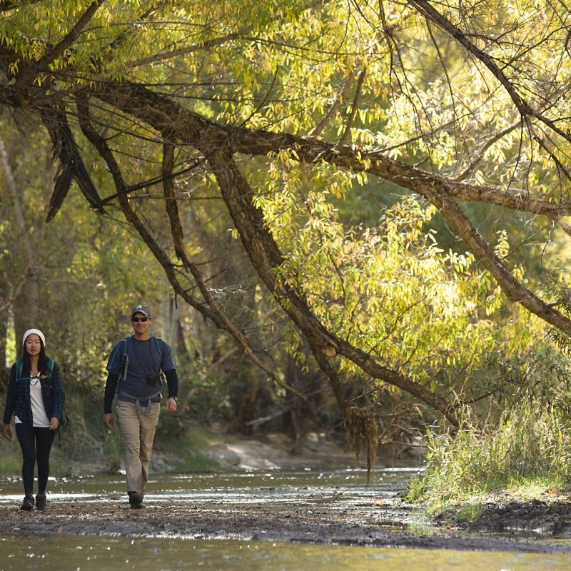 Two people walk through a wetland.