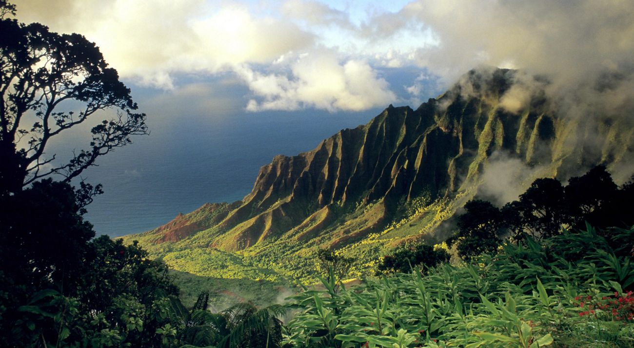 Inland perspective looking out toward the ocean of the lush, green Kalalau Valley.