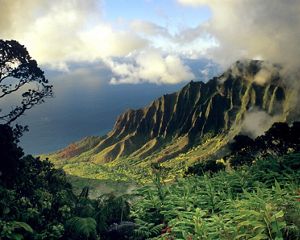 Inland perspective looking out toward the ocean of the lush, green Kalalau Valley.