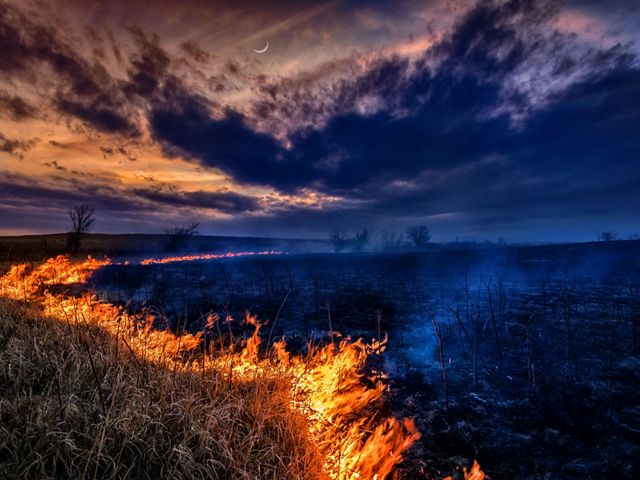Controlled burn of dead winter grasses in Shawnee County, Kansas.  This photo was a finalist in the 2013 Photo Contest.