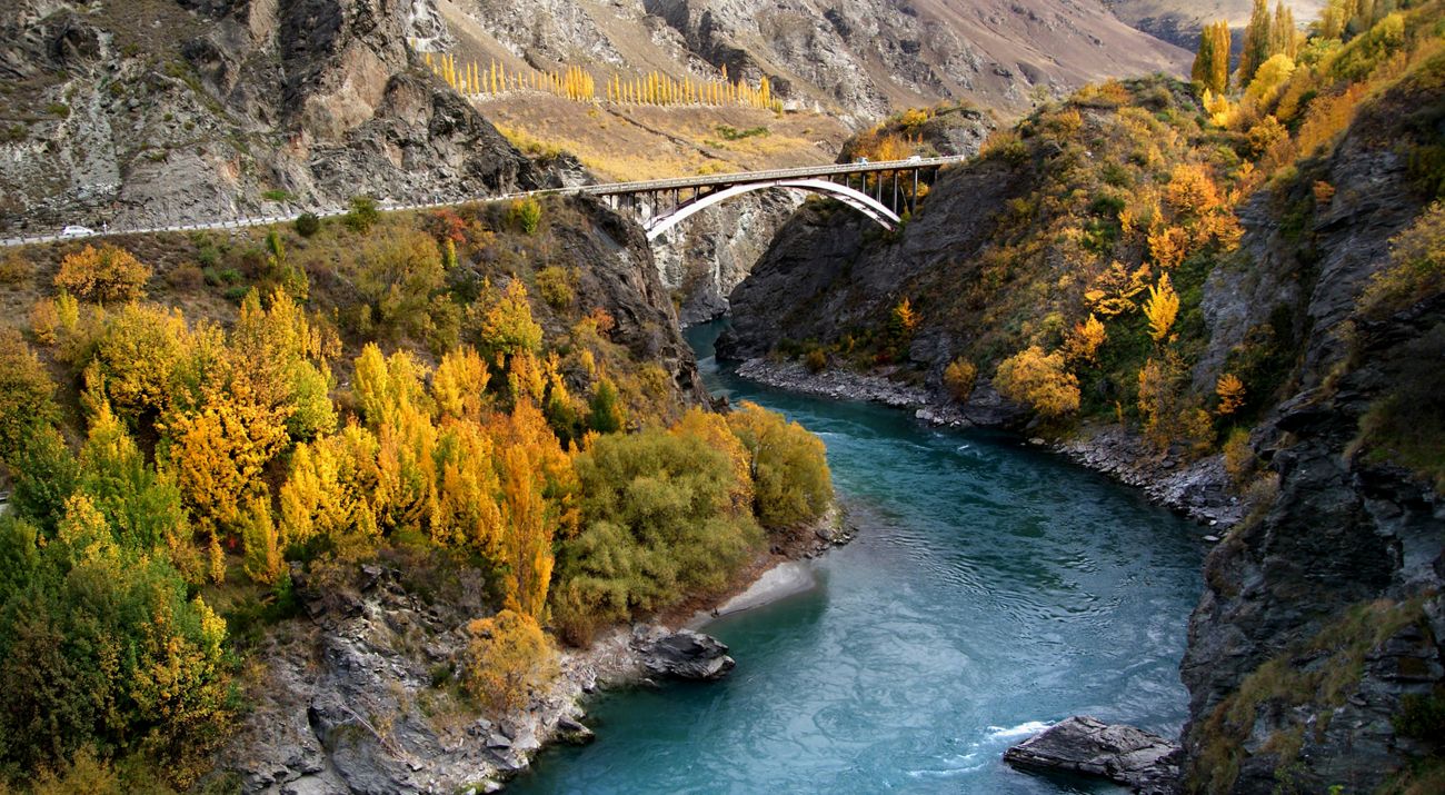 Bridge runs over deep gorge with brilliant yellow-leaved trees on either side.