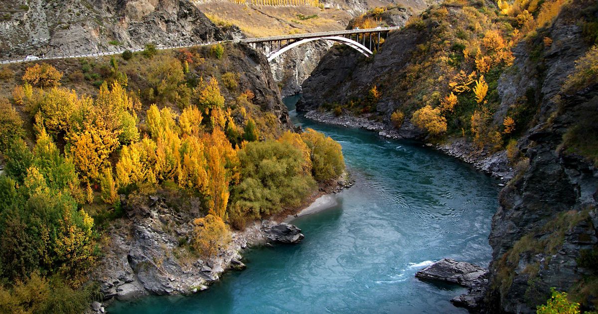 Our Work in Aotearoa New Zealand | The Nature Conservancy