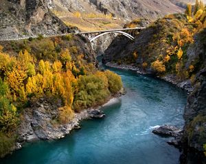 Bridge runs over deep gorge with brilliant yellow-leaved trees on either side.