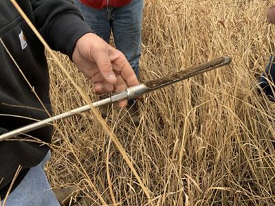 Hands hold a long stick that holds a cross section of soil.