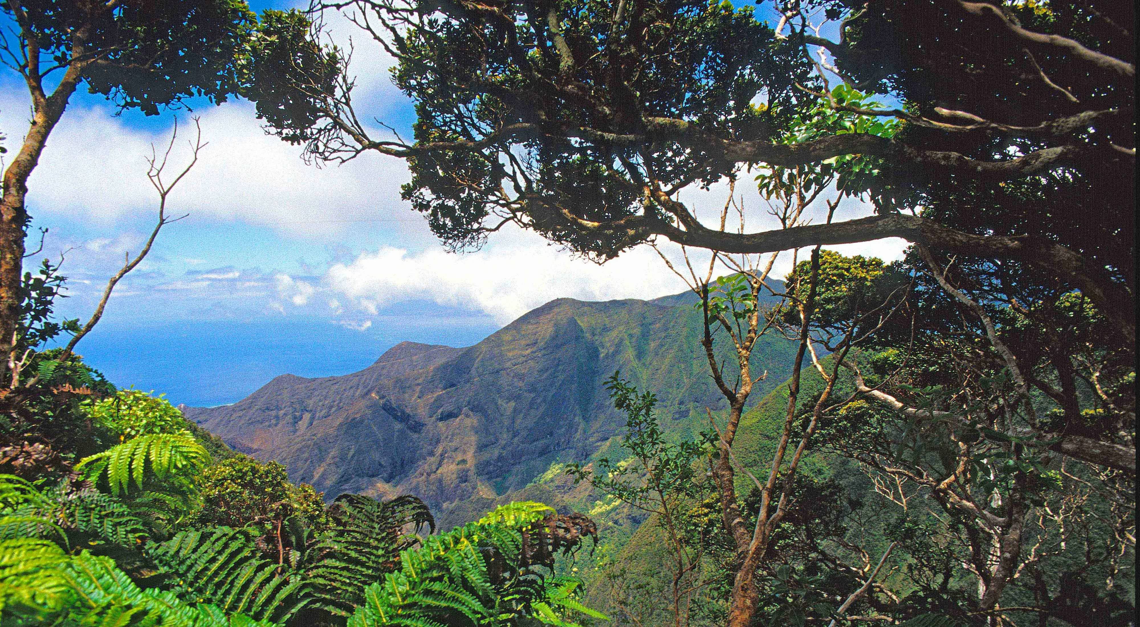 West Maui Mountains.