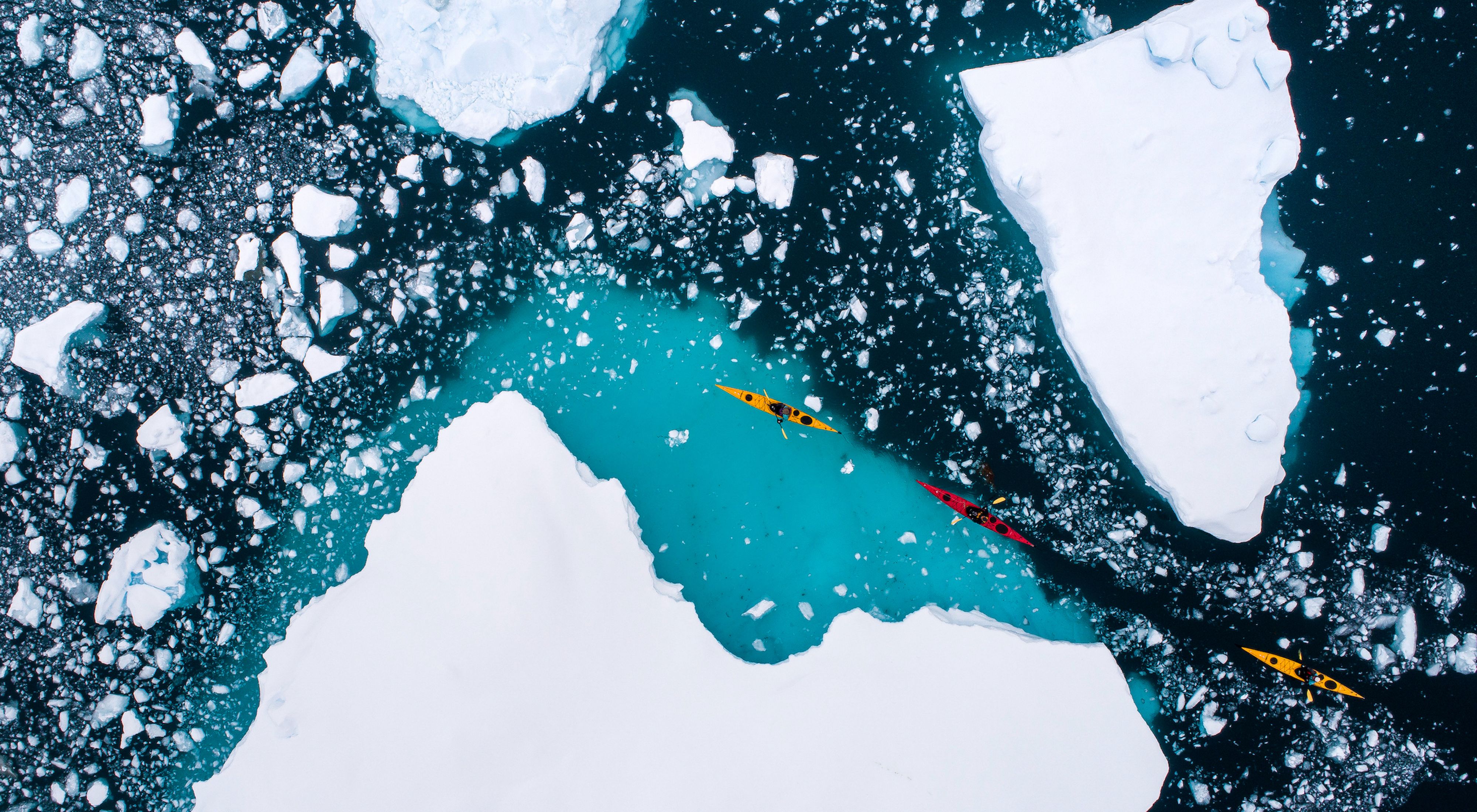 People kayaking through icy water.