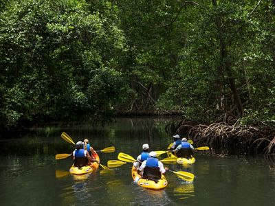 Kayak tour in Samaná Bay, Dominican Republic