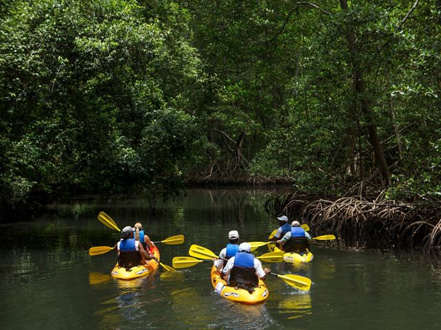 Kayak tour in Samaná Bay, Dominican Republic