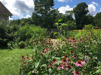 Kay Center Butterfly Garden
