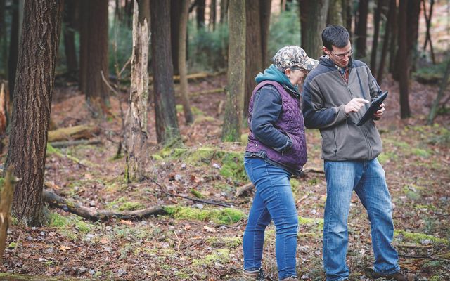 Two people look down at a tablet in a forest.