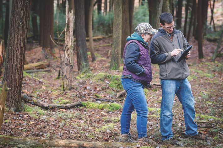 A man and woman stand in a forest. The woman is looking at the electronic tablet the man is holding. He is pointing to something on the screen. The ground is covered in leaves.