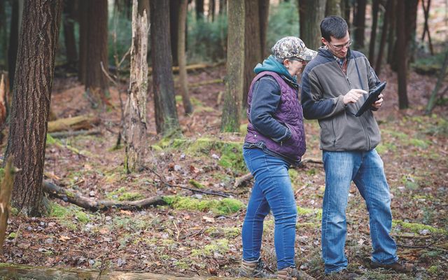 Two people standing in a forest look at a clipboard together and discuss forest management.