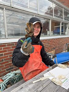 A woman in a black hoodie and orange waders holds up a large oyster at a table in front of a lab.