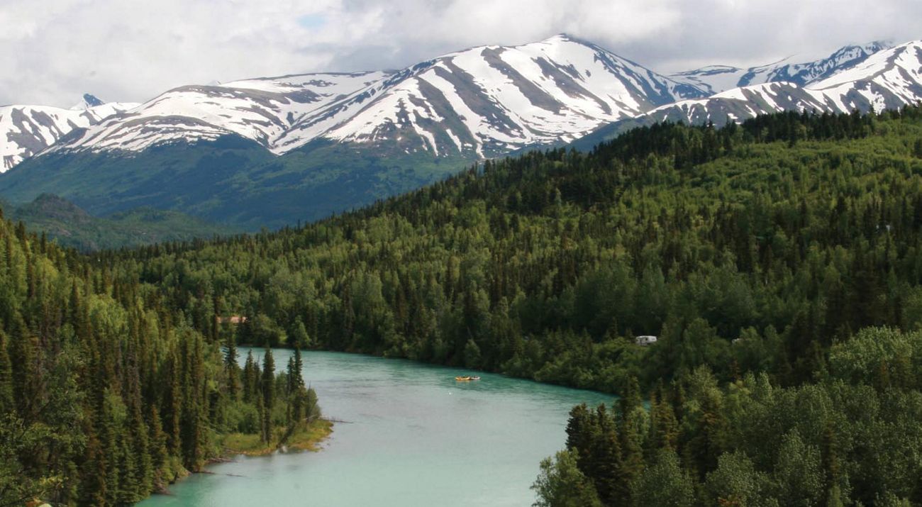 View of the Kenai River.