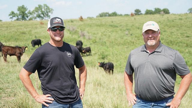 Two men stand in front of cattle in a field. 