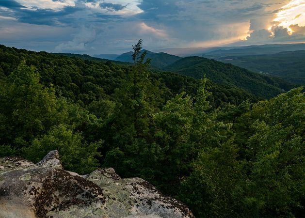 Forested land viewed from a rock outcropping spanning over a valley. 