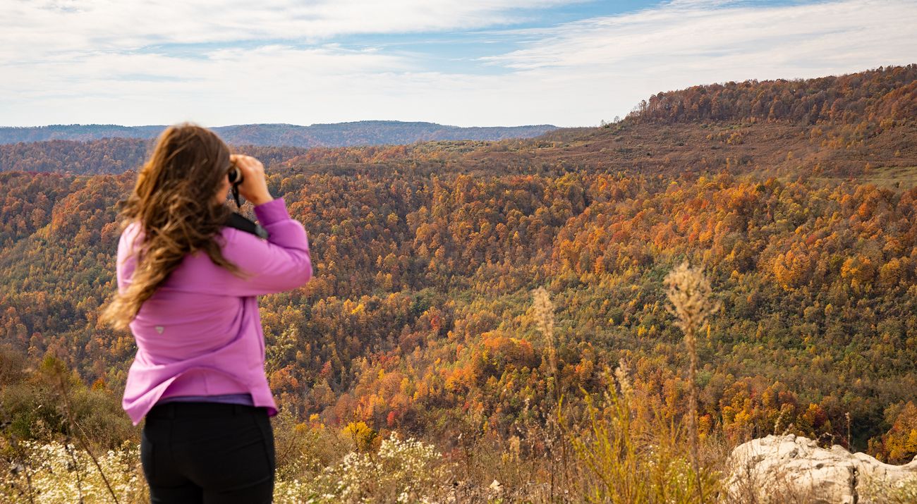 A woman stands on a ridge overlooking a valley and rocky escarpments as she looks through binoculars to behold Kentucky's natural beauty.