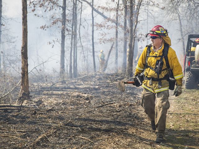 A fire management crew member walks through smoke with a watchful eye on the burn line with tool in hand.