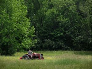 A man rides a tractor through a clearing.