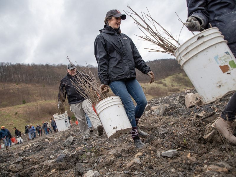 Volunteers carry buckets of tree saplings up a rocky hill on a mountain.