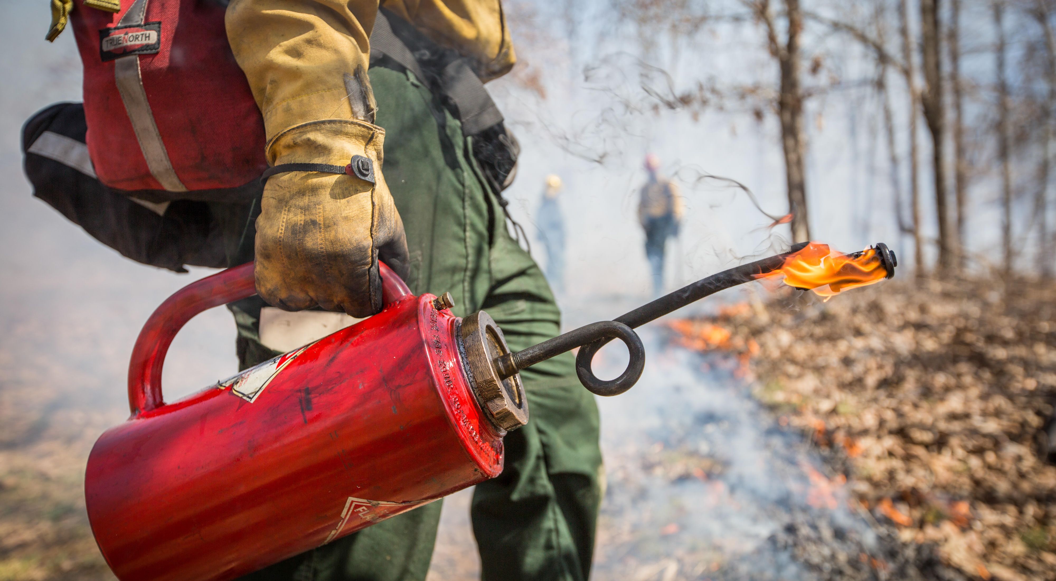 A fire management steward holds  a red drip torch which is used in prescribed fires to create controlled burns and prevent wildfire spread.