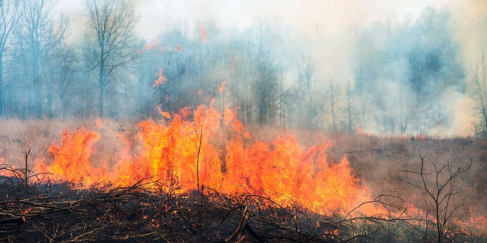 A fire burning in a grassy area.