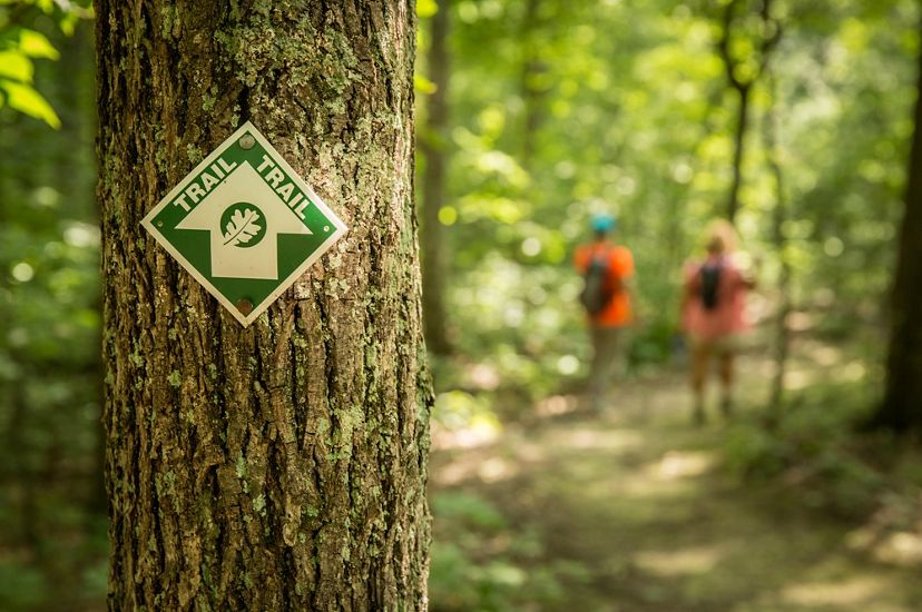 Two hikers walk down a trail. A yellow trail marker with a green arrow is affixed to a tree in the foreground.