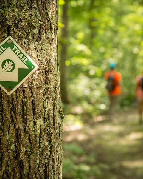 Hiking trail marker