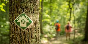 A sign posted on a tree points in the direction of a trail.