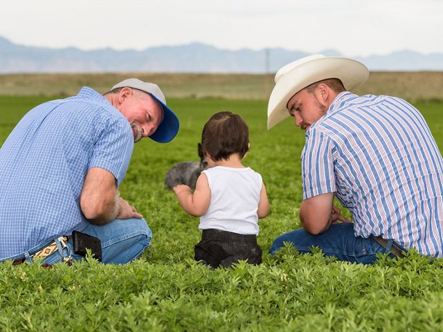 A farmer, his son and grandson sit in a green field. 