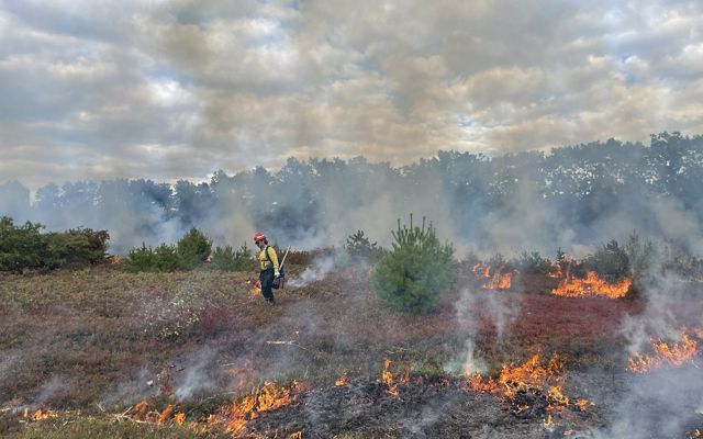 A person in yellow fire gear walks through a field with small flames and smoke around the perimeter.
