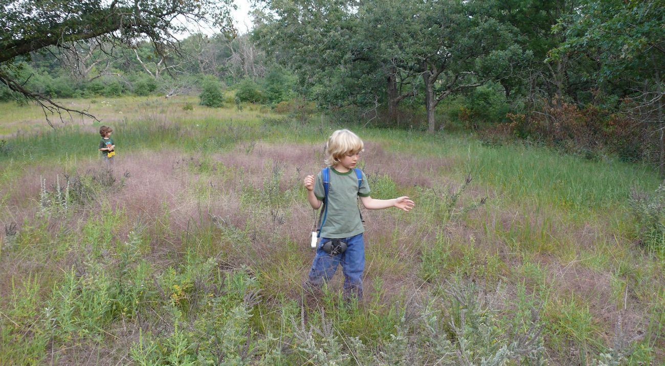 Kids hiking at Helen Allison Savanna Preserve.