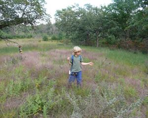 Kids walk through tall grass at Helen Allison Savanna SNA.