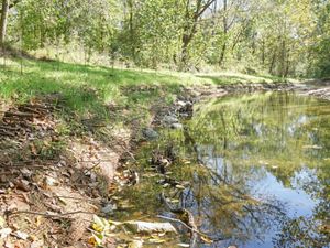 Small creek with a newly restored streambank.