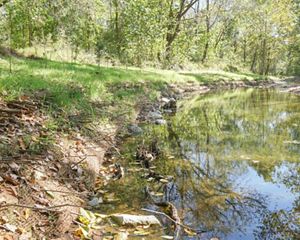 Small creek with a newly restored streambank.