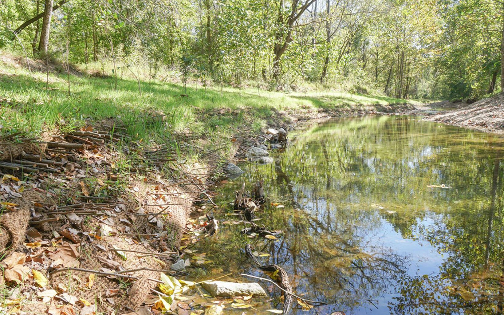 Kiefer Creek -St. Louis County Working with partners, TNC stabilized more than 2,000 feet of severely eroding stream bank along Kiefer Creek and improve approximately nine acres of riparian habitat. © Kristy Stoyer/TNC
