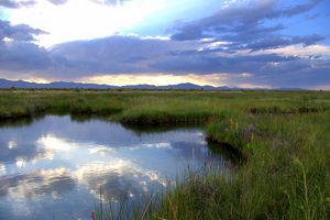 A grassy wetland landscape with mountain view.