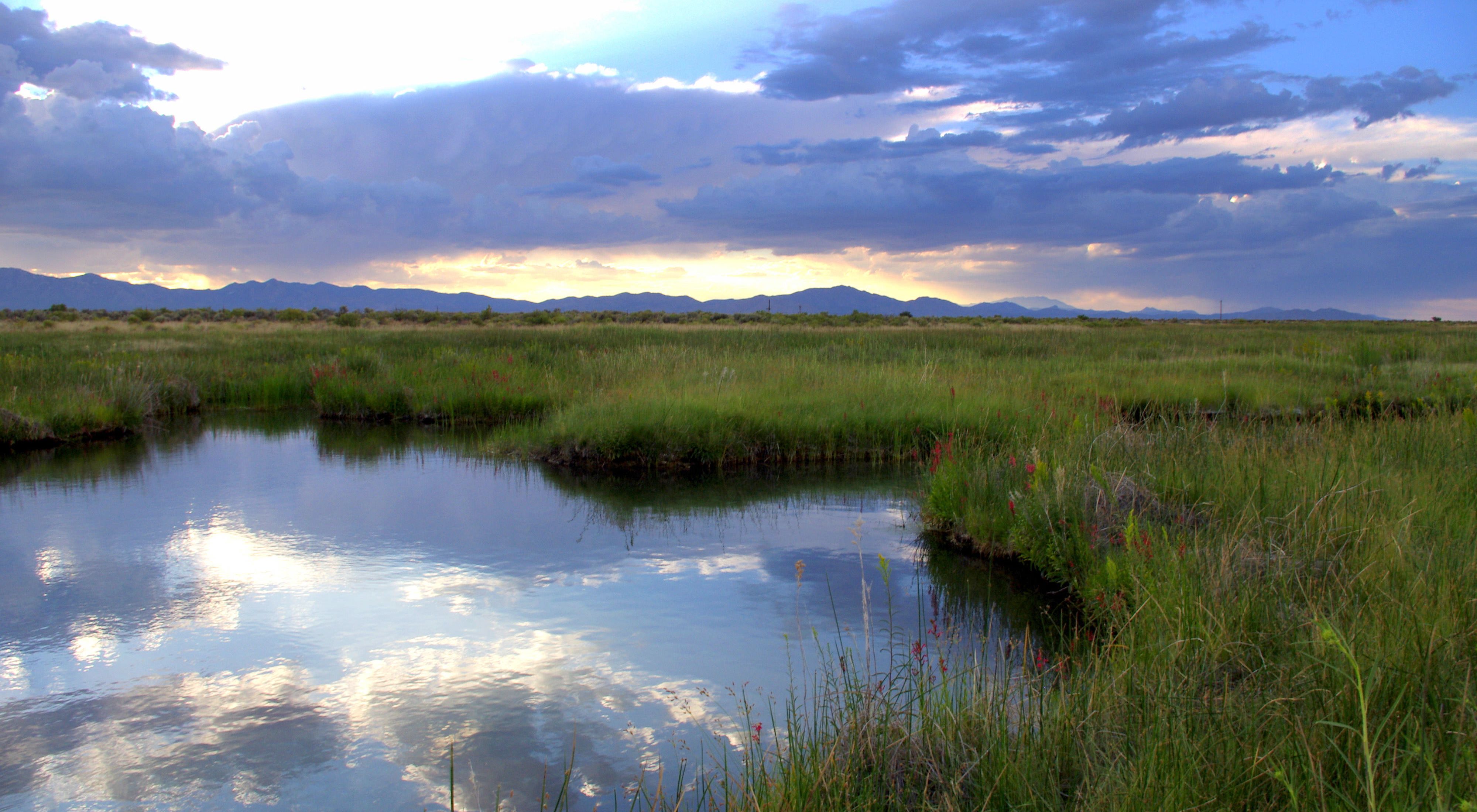 A pool of water surrounded by grasses at sunset with mountains in the background