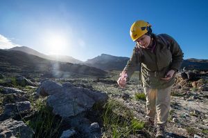 A perdon in a yellow helmet examines a pink flower.